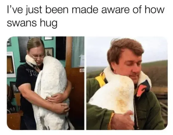 hug