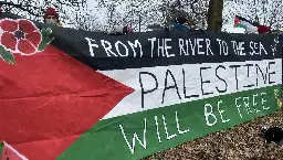 Maine Coalition for Palestine Blocks Traffic, Protests Genocide in Gaza. - Pine & Roses