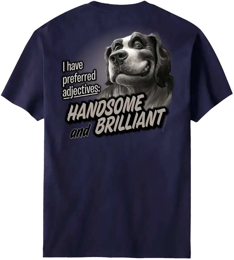 an image of a T-shirt that says "I have preferred adjectives. Handsome and brilliant!"