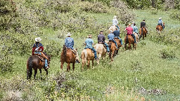 Do You Need a Visit to the Confident Man Ranch?