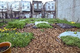 Philadelphia's community gardens, source of fresh food, are at risk