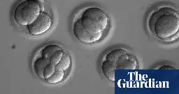 Synthetic human embryos created in groundbreaking advance