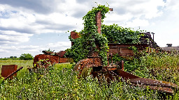 Abandoned Lands: A Hidden Resource for Restoring Biodiversity