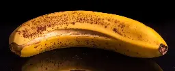 Something Unexpectedly Cool Happens When You Use Banana Peel as an Ingredient