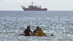 Noise, the invisible pollutant threatening marine life, explained