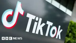 TikTok: Albania issues one-year ban after fatal stabbing