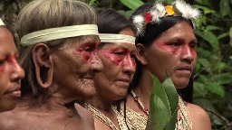 In Major Win for Indigenous Rights, Ecuador Votes to Ban Oil Drilling in Protected Amazon Lands