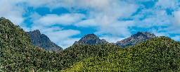 Forest restoration planned for Colombia’s Farallones de Cali National Park