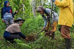 Indigenous and local communities see big gains in land rights, study shows