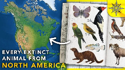 Every Extinct Animal From North America MAPPED