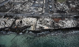 ‘Coral are going to die’: Maui wildfires take toxic toll on marine ecology