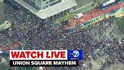 Twitch streamer's giveaway sparks mayhem in Union Square
