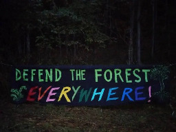 Defend the Forest Everywhere: MVP Construction Halted In National Forest Due To Pipeline Resistance