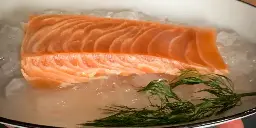 I try synthetic salmon and enter the “uncanny valley” of taste