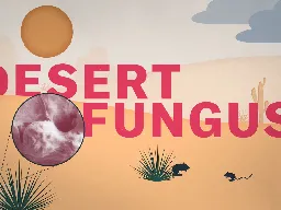 A desert fungus that infects humans is spreading