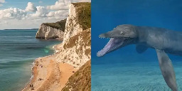 Massive skull of prehistoric sea monster that was the 'ultimate killing machine' discovered in UK