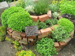 The Permaculture Spiral Garden - A Great Starting Point