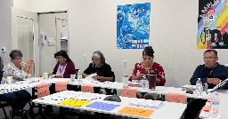 How Arizona works to give Navajo voters a ballot they can listen to in their language