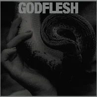 GODFLESH release their new album PURGE