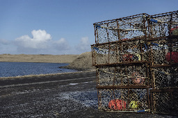 Billions of snow crab are missing. A remote Alaskan village depends on the harvest to survive.