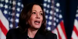 Kamala Harris' opening argument: Vote for me and I'll decimate Project 2025