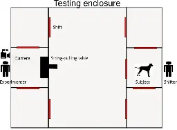 Wolves and dogs recruit human partners in the cooperative string-pulling task - Scientific Reports