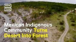 Mexican Indigenous Communities Restore 40k+ Acres of Forest