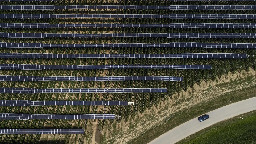 Hops for beer flourish under solar panels. They're not the only crop thriving in the shade.