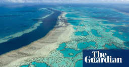 Groundwater a significant source of pollution on Great Barrier Reef, study shows