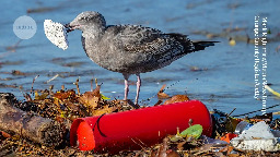 UN plastics treaty: don’t let lobbyists drown out researchers