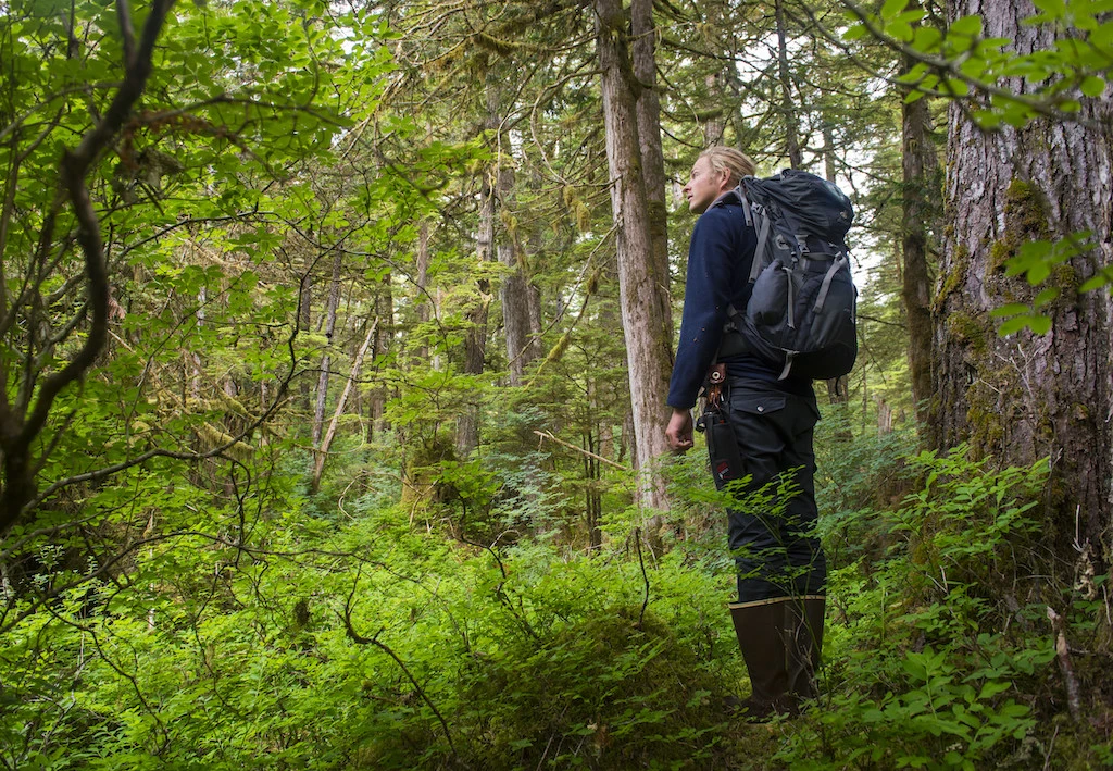 The Fight to Save North America’s Temperate Rainforests