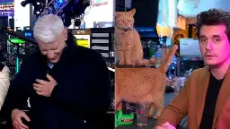Video: John Mayer joins CNN's NYE special from a Japanese cat bar   | CNN Business