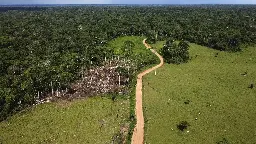 Brazil's Lula lays out plan to halt Amazon deforestation, make country "global reference" on climate