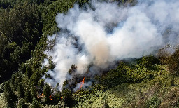 El Niño forecast to drive record heat from the Amazon to Alaska in 2024