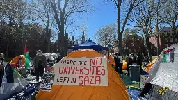 From Boston to Palestine: Student Encampments Began in Peace and Ended in Handcuffs - UNICORN RIOT