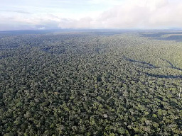 Amazon deforestation linked to long distance climate warming