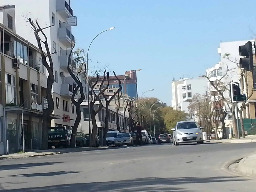 Searching for shade and trees in Nicosia |  Cyprus Mail
