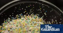 Microplastics found in every human testicle in study