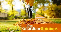 Trust in nature – and stop raking up your garden leaves | Alys Fowler