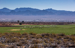 In drought-stricken Arizona, fresh scrutiny of Saudi Arabia-owned farm's water use