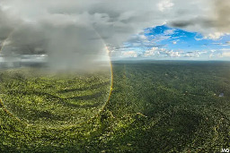 Brazil proposes $250 billion “Tropical Forests Forever” fund for rainforests