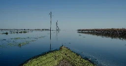 A Vast Lake Has Captivated California Where Farms Stood a Year Ago