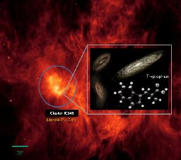 Evidence of the amino acid tryptophan found in space