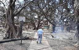 Some Surprising Places Are at Risk of Devastating Urban Wildfires like Maui’s