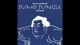 [1996] 寺田創一 (Soichi Terada) - Sumo Jungle GRANDEUR - Full Album (HQ)