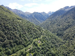 How France Brought Brown Bears Back to the Pyrenees