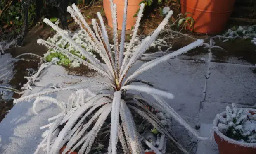 Rare ‘industrial snowfall’ thought to be caused by pollution recorded in UK