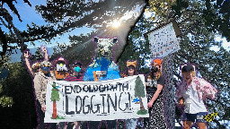 Forest Defenders Declare Victory After 22-Day Tree Sit - UNICORN RIOT