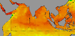 Ocean heat is off the charts – here's what that means for humans and ecosystems around the world