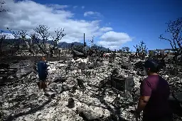 Disaster Capitalists Are Circling Maui Like Buzzards